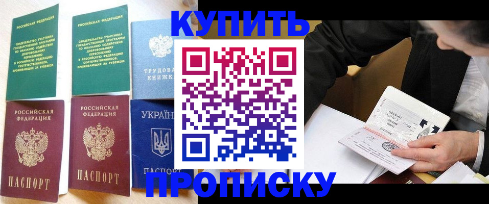 прописка для школы в Покрове